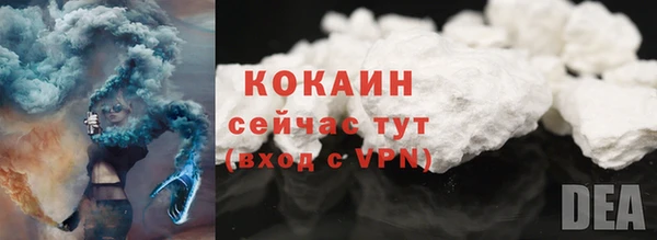 дживик Переславль-Залесский