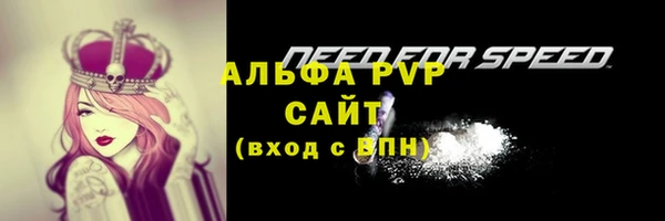дживик Переславль-Залесский