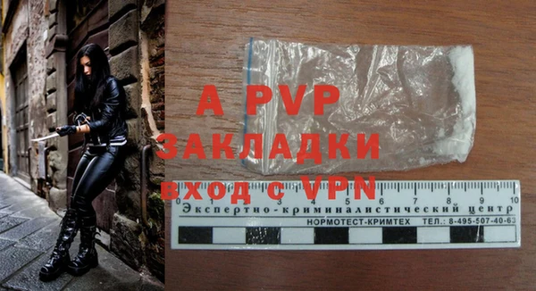дживик Переславль-Залесский