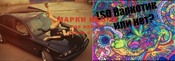 мдпв Пересвет