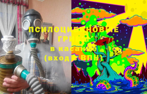 мдпв Пересвет