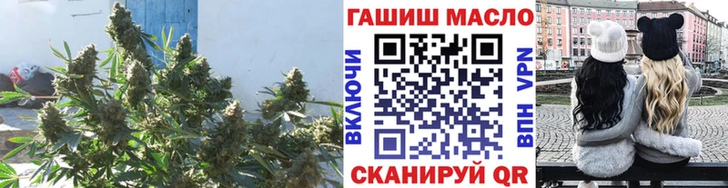 ТГК гашишное масло  гидра вход  Шарья 