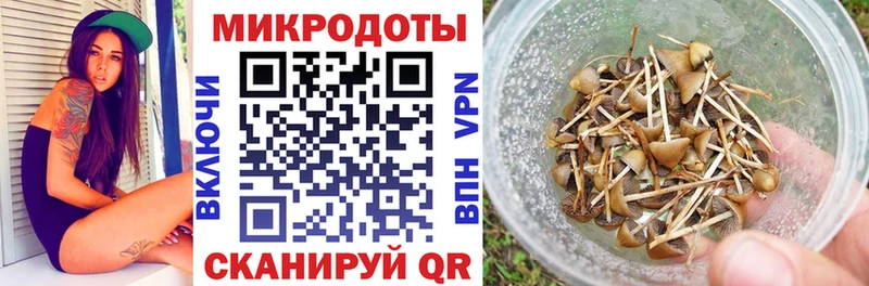 Псилоцибиновые грибы прущие грибы  omg зеркало  Шарья 